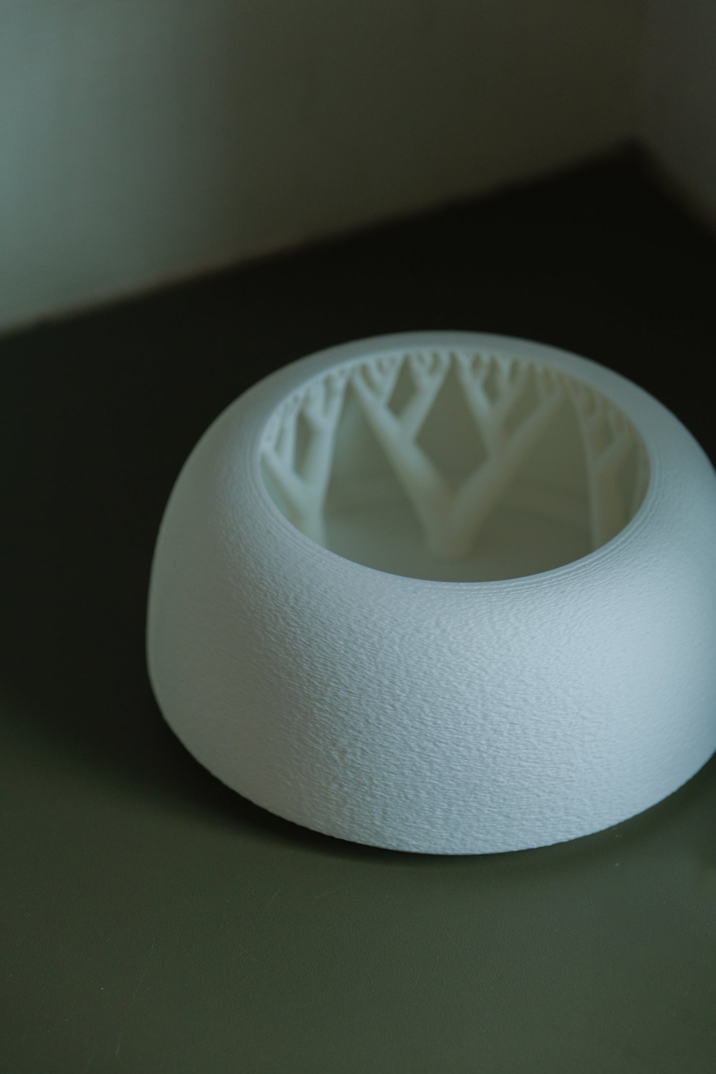 Apricot Haze (Preserved Arrangement with in-house 3D Printed Vase)