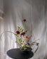 Ikebana Sessions: November 2025