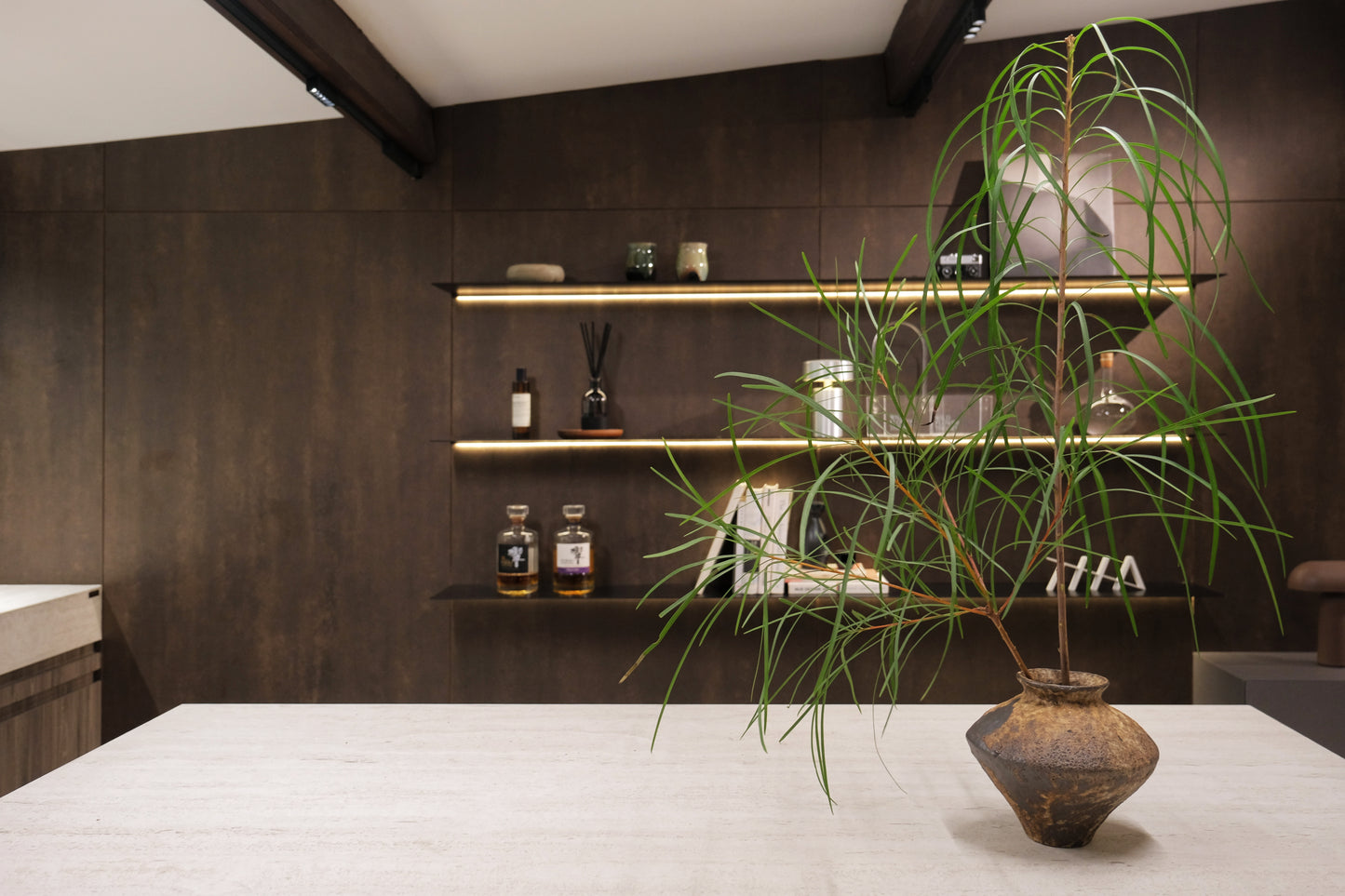 Ikebana Sessions: November 2025