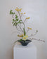 Ikebana Sessions: July 2026