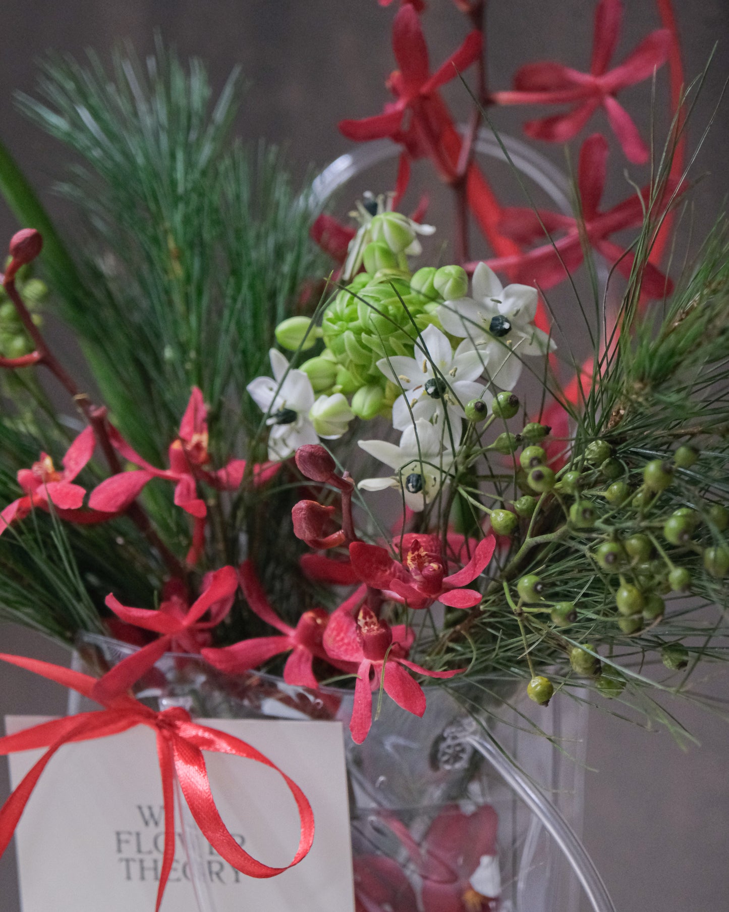 Floral Jamming Sessions: December 2025