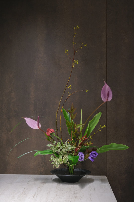 Ikebana Sessions: March 2026